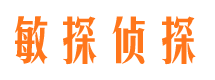 柳林私家调查公司